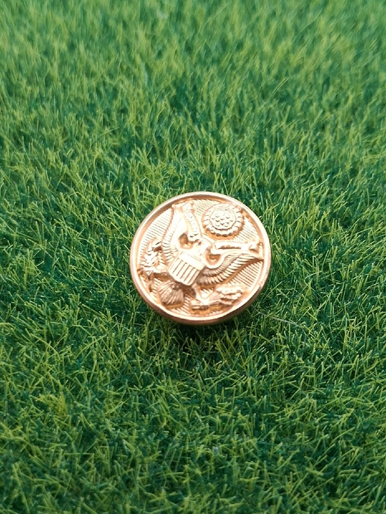 Vintage Other - Gold Tone Eagle Emblem Button - Single Decorative Button P409